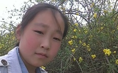 2019年最新限制伦理